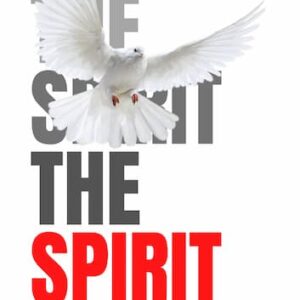 THE SPIRIT (eBook) - by Selorm Zeglo